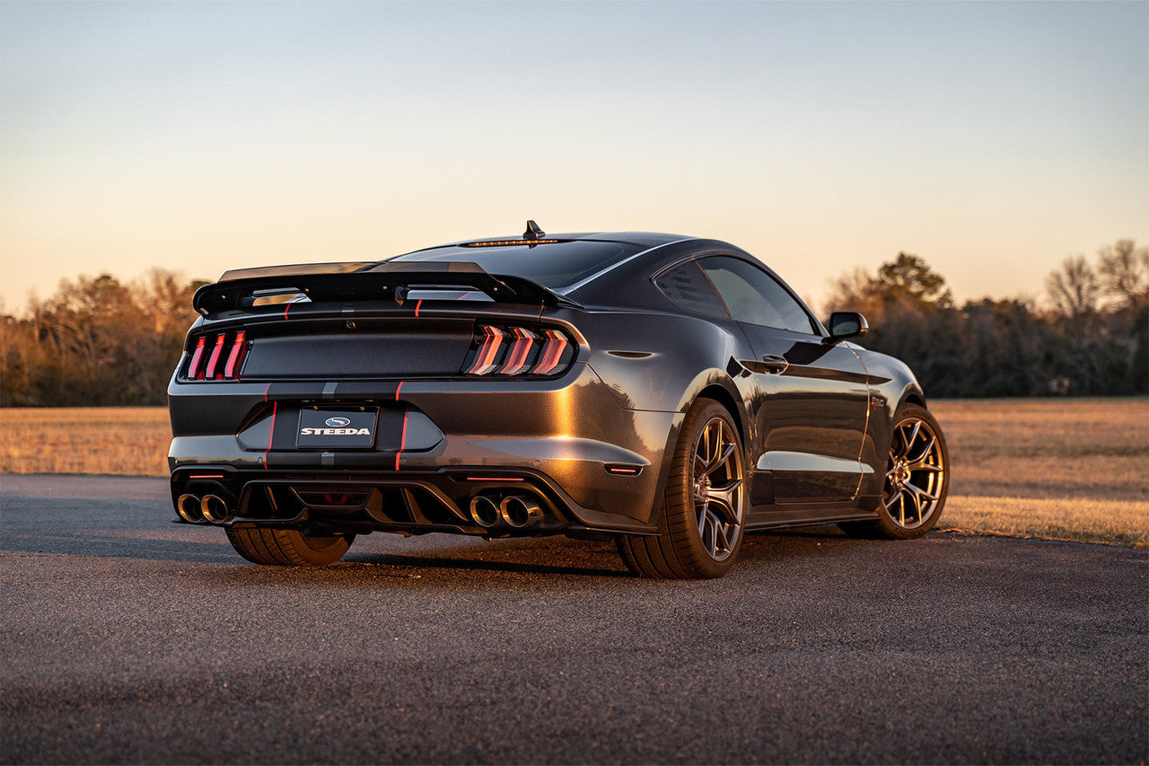 Mustang GT500 Style Spoiler w/ Tinted Wicker Bill - Gloss Black (2015-2023)