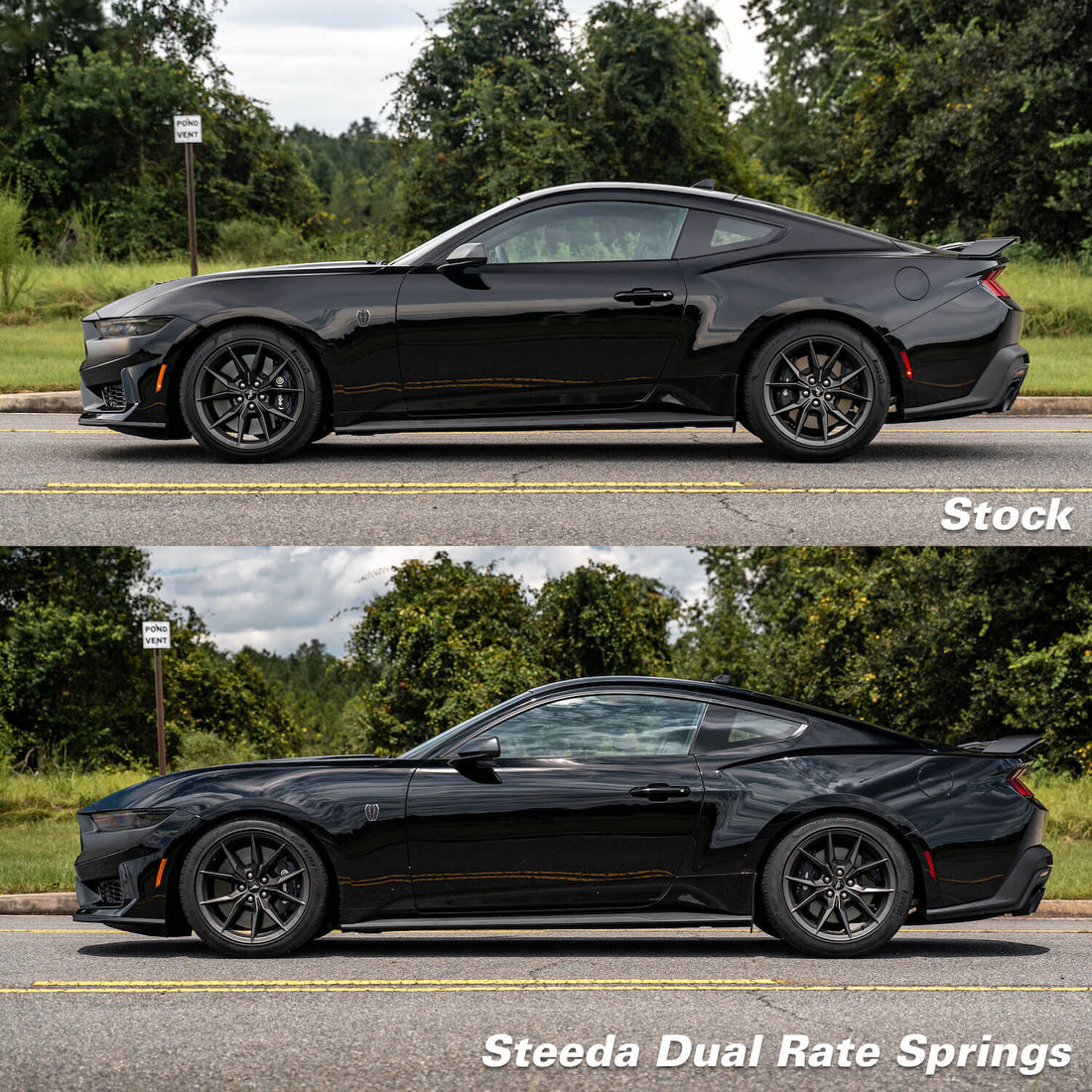 Steeda Mustang MagneRide Dual Rate Ultimate Handling Lowering Springs (2015-2026)