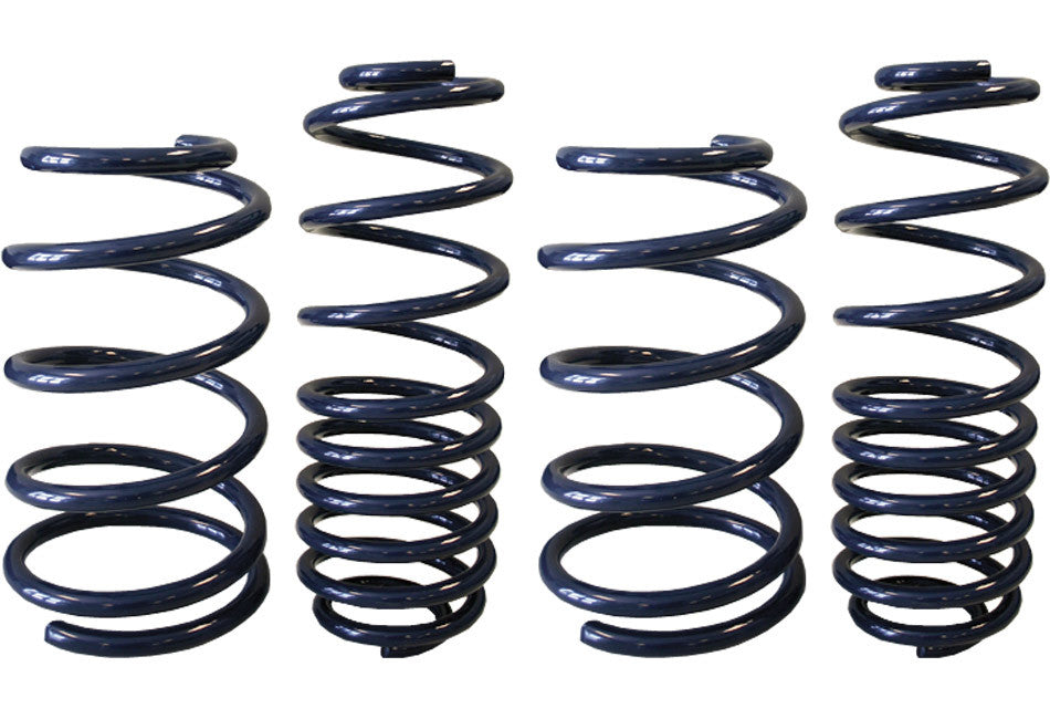 Steeda Ultra-Lite Mustang Lowering Springs (2005-2014)