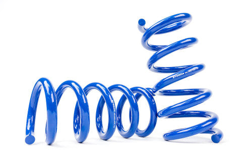 Steeda S550 Mustang Rear Drag Spring Kit (2015-2023)