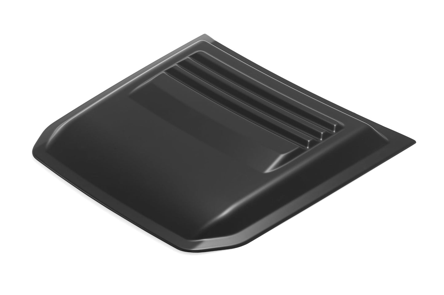 
                  
                    Hood Scoop Ford F-150 2WD/4WD (2021-2025) Rough Country
                  
                