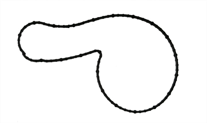 Fel-Pro F-150/Explorer/Fusion 2.7L/3.0L Water Pump Gasket (2015-2021)