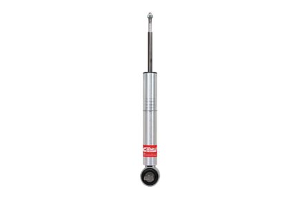 PRO-TRUCK SHOCK - E60-35-048-01-10