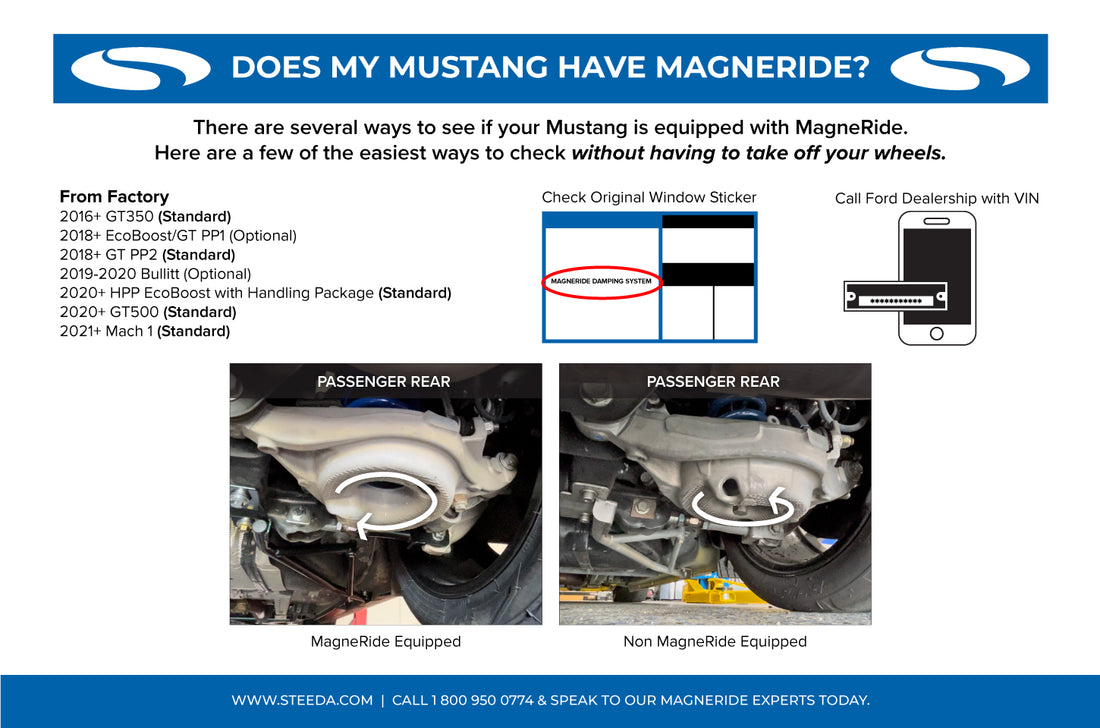 Steeda Mustang MagneRide Braided Stainless Brake Line Kit (2016-2023)