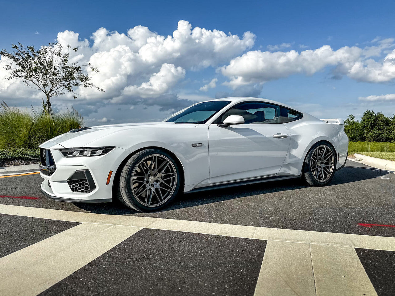 Steeda Mustang Sport Lowering Springs - Progressive (2015-2026)