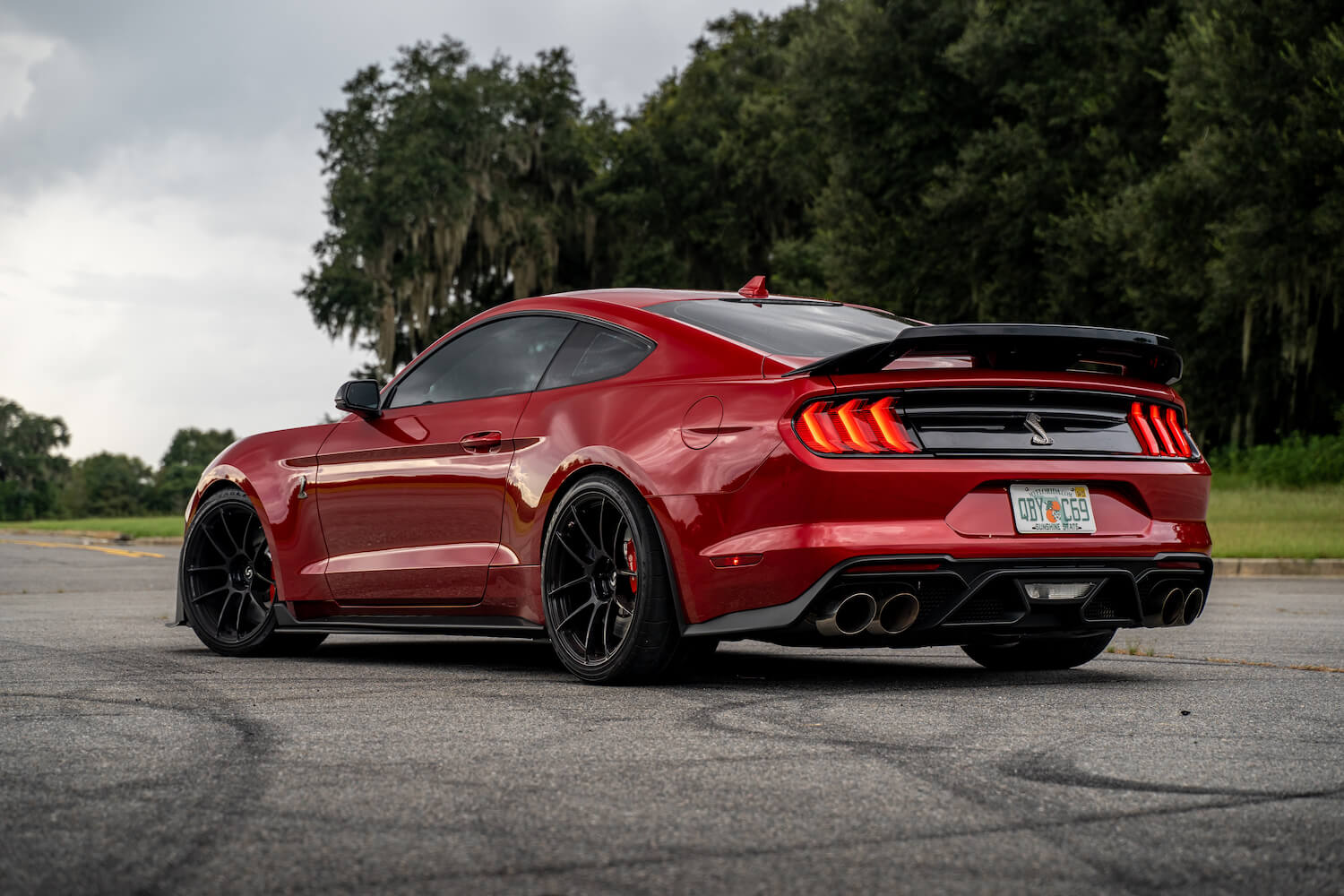 Steeda GT500 MagneRide Dual Rate Ultimate Handling Lowering Springs (2020-2023)