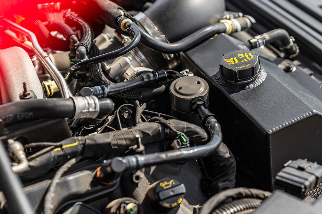 Steeda Mustang 5.0L Oil Separator (2011-2023)